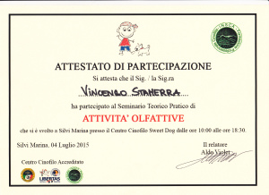 attestati_0003