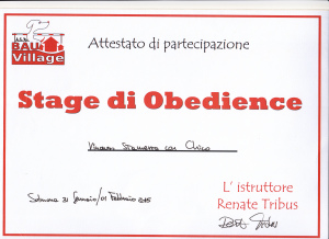 attestati_0011