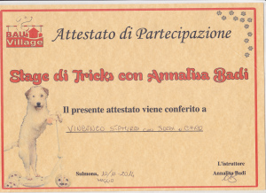 attestati_0015