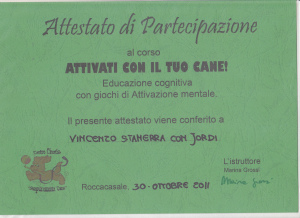 attestati_0016