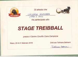 attestati_0017